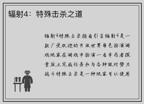 辐射4：特殊击杀之道